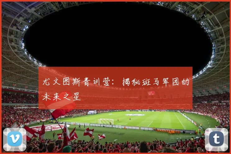 尤文图斯青训营：揭秘斑马军团的未来之星